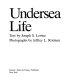 Undersea life /