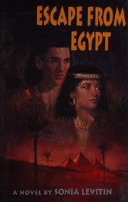 Escape from Egypt : a novel /