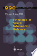 Principles of Visual Information Retrieval /