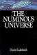 The numinous universe /