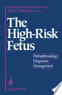 The High-Risk Fetus : Pathophysiology, Diagnosis, and Management /