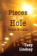 Pieces of the hole /