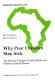 Why poor children stay sick : the human ecology of child health and welfare in rural Malawi /
