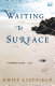 Waiting to surface : a novel /