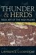 Thunder and herds : rock art of the High Plains /