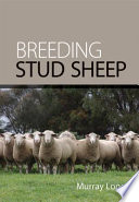 Breeding stud sheep /