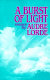 A burst of light : essays /