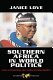 Southern Africa in world politics : local aspirations and global entanglements /