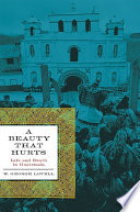 A beauty that hurts : life and death in Guatemala /