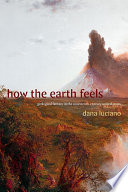 How the earth feels : geological fantasy in the nineteenth-century United States /