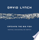 Catching the big fish : meditation, consciousness, and creativity /