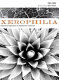 Xerophilia : ecocritical explorations in southwestern literature /