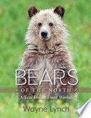 Bears of the north : a year inside their worlds /