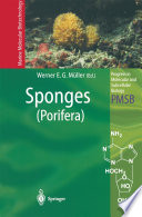Sponges (Porifera) /