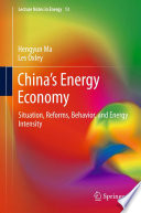 China's energy economy : situation, reforms, behavior, and energy intensity /
