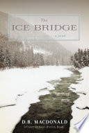 The ice bridge : a novel /