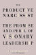 The productive narcissist : the promise and peril of visionary leadership /