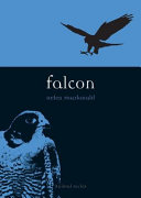 Falcon /