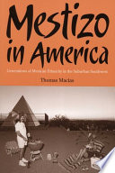 Mestizo in America : generations of Mexican ethnicity in the suburban Southwest /
