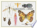 Illinois insects and spiders /