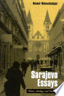Sarajevo essays : politics, ideology, and tradition /