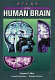 Atlas of the human brain /