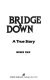 Bridge down : a true story /