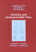 Vorticity and incompressible flow /