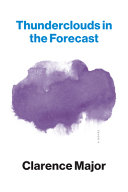 Thunderclouds in the forecast : a novel /