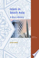 Islam in South Asia : a short history /