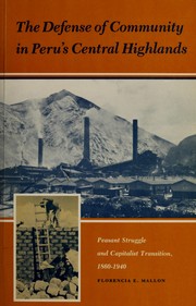 The defense of community in Peru's central highlands : peasant struggle and capitalist transition, 1860-1940 /