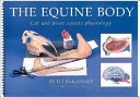 The equine body : cut and paste equine physiology /