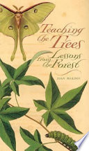 Teaching the trees : lessons from the forest /
