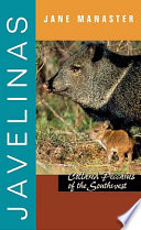 Javelinas /