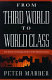 From Third World to world class : the future of emerging markets in the global economy /
