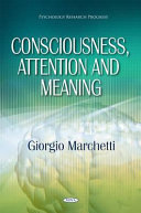 Consciousness, attention and meaning /