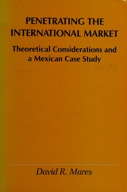 Penetrating the international market : theoretical considerations and a Mexican case study /