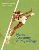 Human anatomy & physiology /