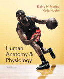 Human anatomy & physiology /