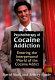 Psychotherapy of cocaine addiction : entering the interpersonal world of the cocaine addict /