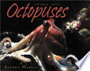 Octopuses /