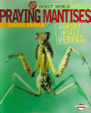 Praying mantises : hungry insect heroes /