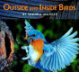 Outside and inside birds /