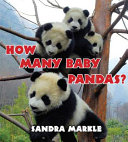How many baby pandas? /