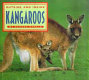 Outside and inside kangaroos /
