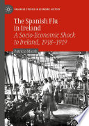 The Spanish Flu in Ireland  : A Socio-Economic Shock to Ireland, 1918-1919 /