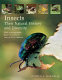 Insects : their natural history and diversity : with a photographic guide to insects of eastern North America /