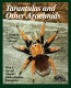 Tarantulas and other arachnids : everything about selection, care, nutrition, health, breeding, and behavior /
