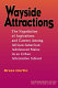 Wayside attractions : the negotiation of aspirations and careers among African-American adolescent males in an urban alternative school /