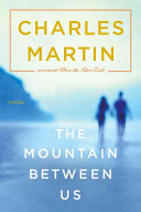 The mountain between us /